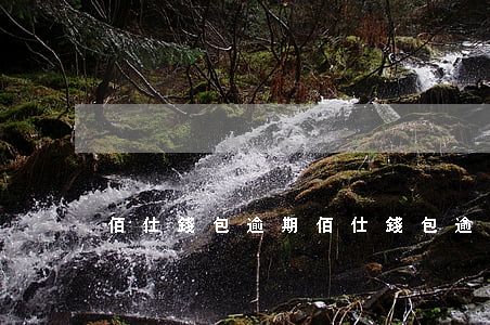 佰仕錢包逾期(佰仕錢包逾期)