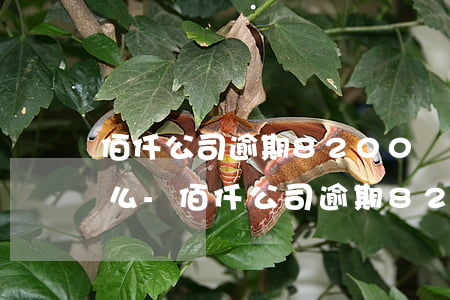 佰仟公司逾期8200會(huì)上法庭么-佰仟公司逾期8200會(huì)上法庭么嗎