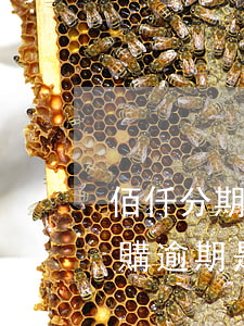 佰仟分期購逾期是總公司催款嗎-佰仟分期購逾期是總公司催款嗎是真的嗎