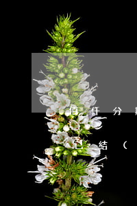 佰仟分期逾期15天(佰仟金融逾期四年顯示已結(jié)清)
