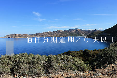 佰仟分期逾期20天以上