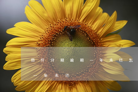 佰仟分期逾期一年未还怎么办（佰仟分期逾期一年未还）