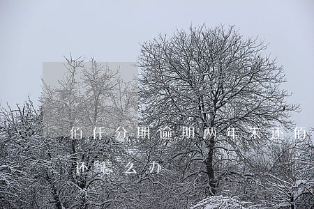 佰仟分期逾期两年未还(佰仟分期逾期两年未还怎么办)