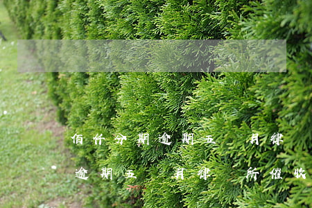 佰仟分期逾期五個月律師所催收-佰仟分期逾期五個月律師所催收是真的嗎