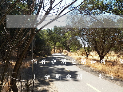 佰仟分期逾期如何還款(佰仟金融手機(jī)分期逾期幾年了)