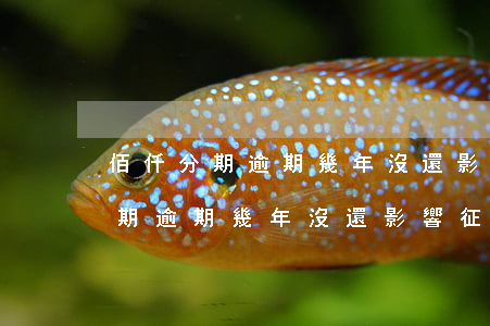 佰仟分期逾期幾年沒還影響征信嗎-佰仟分期逾期幾年沒還影響征信嗎怎么辦