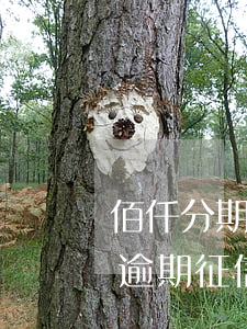 佰仟分期逾期征信會不會黑名單-佰仟分期逾期征信會不會黑名單呢