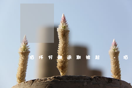 佰仟分期逾期被起訴-佰仟金融被起訴新聞