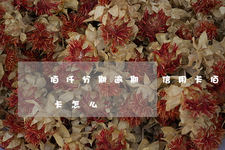 佰仟分期逾期辦信用卡(佰仟分期逾期辦信用卡怎么辦)