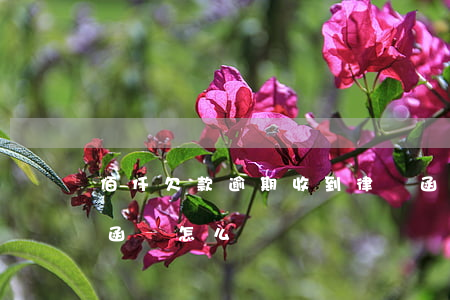 佰仟欠款逾期收到律師函(欠款逾期收到律師函該怎么辦)