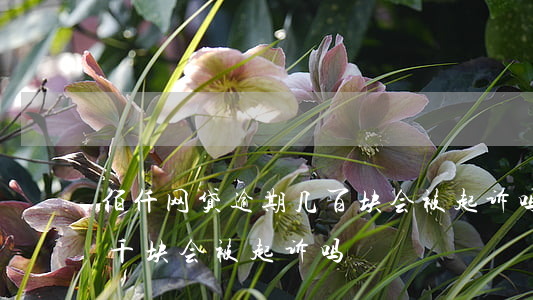 佰仟网贷逾期几百块会被起诉吗(网贷逾期一千块会被起诉吗)