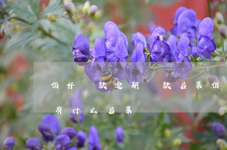 佰仟貸款逾期還款后果(佰仟金融貸款不還會有什么后果)