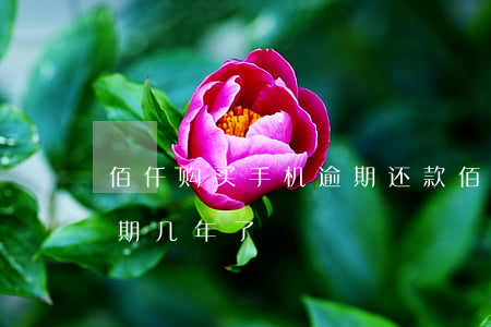佰仟购买手机逾期还款(佰仟金融手机分期逾期几年了)