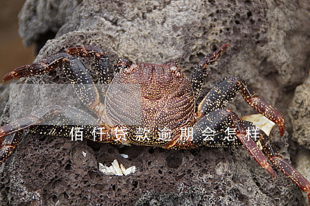 佰仟贷款逾期会怎样