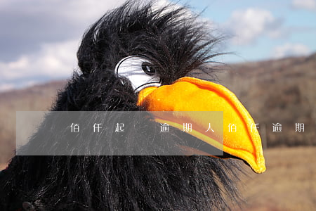 佰仟起訴逾期人(佰仟逾期會怎樣)