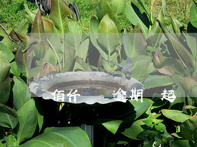 佰仟車貸逾期會起訴嗎(佰仟車貸逾期被起訴)