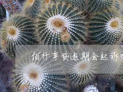 佰仟车贷逾期会起诉吗(佰仟车贷逾期被起诉)