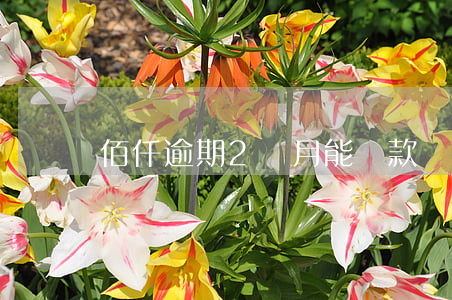 佰仟逾期2個月能還款嗎(佰仟金融逾期3年沒還)