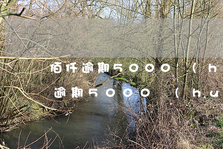 佰仟逾期5000會(huì)起訴嗎(佰仟逾期5000會(huì)起訴嗎)