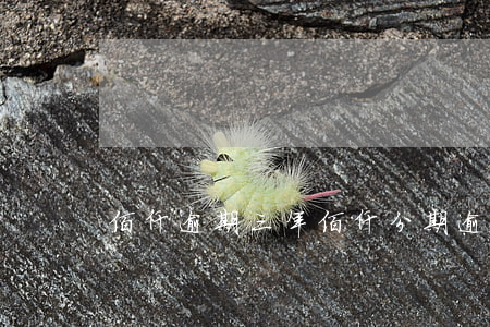 佰仟逾期三年（佰仟分期逾期被起訴3年6）