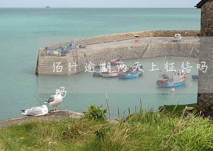 佰仟逾期两天上征信吗（佰仟逾期两天上征信吗）
