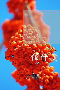 佰仟逾期九十天 佰仟逾期會怎樣