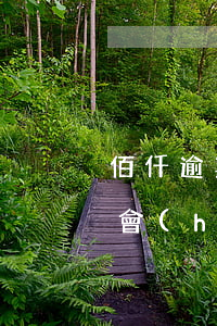 佰仟逾期了還可以辦別的分期嗎-佰仟逾期會(huì)坐牢嗎