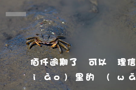 佰仟逾期了還可以辦理信用卡嗎-空調(diào)里的網(wǎng)怎么拿出來