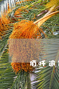 佰仟逾期利息(佰仟金融欠款多久起诉)