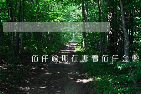 佰仟逾期在哪看(佰仟金融查不到欠款)