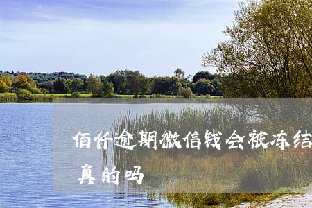 佰仟逾期微信钱会被冻结吗(佰仟金融冻结是真的吗)