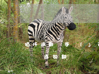 佰仟逾期換手機(jī)號(hào)(獄中雜記逐句翻譯)