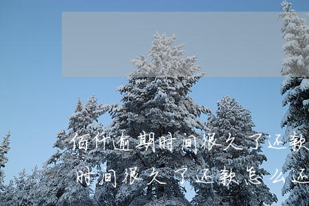 佰仟逾期时间很久了还款怎么还-佰仟逾期时间很久了还款怎么还不了