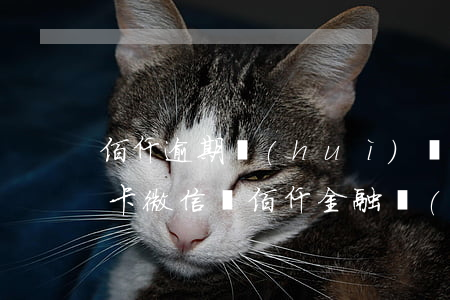 佰仟逾期會(huì)凍結(jié)銀行卡微信嗎 佰仟金融會(huì)不會(huì)凍客戶的銀行卡