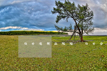 佰仟逾期法院起訴(佰仟金融逾期會被告嗎)