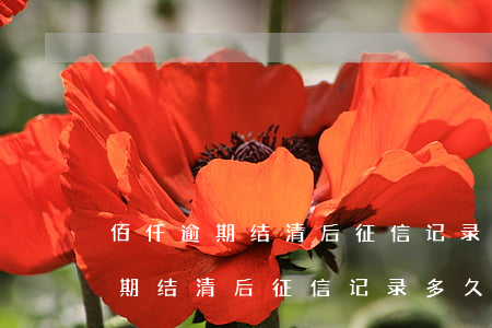 佰仟逾期结清后征信记录多久消除-佰仟逾期结清后征信记录多久消除啊
