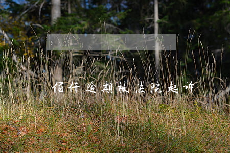 佰仟逾期被法院起诉