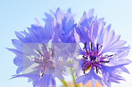 佰仟逾期起诉通知函 佰仟通告函