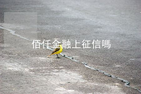 佰仟金融上征信嗎