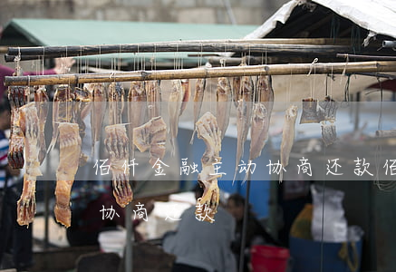 佰仟金融主动协商还款（佰仟金融逾期7个月协商还款）