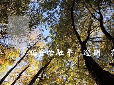 佰仟金融平臺逾期會被起訴嗎(佰仟金融能起訴嗎)