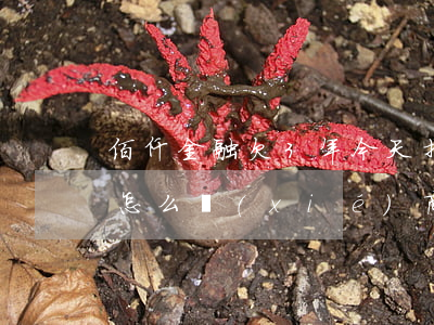 佰仟金融欠3年今天找我還款（佰仟逾期3年怎么協(xié)商還款）