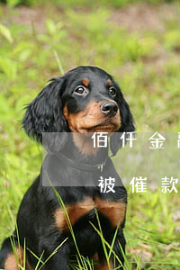 佰仟金融逾期影響貸款嗎(佰仟金融無貸款卻被催款)