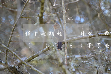 佰千逾期起訴(為什么蘋果突然調(diào)節(jié)不了亮度)