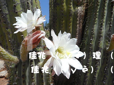 佳兆業(yè)理財(cái)逾期 微博-佳兆業(yè)財(cái)富產(chǎn)品延期