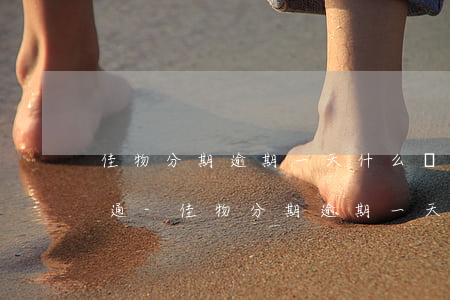 佳物分期逾期一天什么時(shí)候能開通-佳物分期逾期一天會(huì)怎么樣