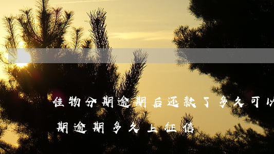 佳物分期逾期后还款了多久可以用-佳物分期逾期多久上征信