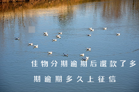 佳物分期逾期后還款了多久可以用-佳物分期逾期多久上征信