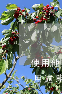 使用他人信用卡導致逾期(信用卡不是本人使用逾期了)