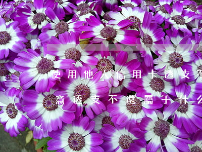 使用他人信用卡透支不還(使用別人信用卡惡意透支不還屬于什么類型)